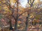 DSCN1848.JPG