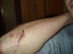 DSC01010.jpg