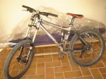 DSC01036.jpg