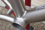 MERLIN xlm-bottombracketii.jpg