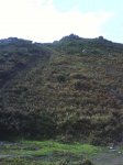 DSC01456.jpg