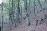 dsc07979em4.jpg
