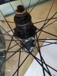 IMG_20180612_133301.jpg