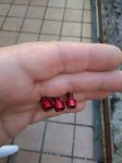 IMG_20180614_171535.jpg