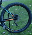 rueda1.png