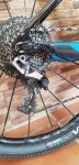 20180614_184826-980x2016.jpg