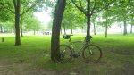 IMG-20180621-WA0003.jpg