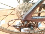 IMG-20180623-WA0015.jpg