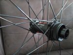 IMG_20180619_153633.jpg