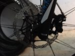 image13.jpeg