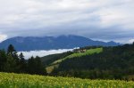 DSC_3950.jpg