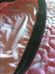 70943DF4-A74A-4146-BD1D-952898422FD9.jpeg