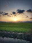 IMG_20180630_210524_HDR-01.jpeg