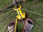 IMG_20180623_103700.jpeg