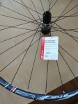 IMG_20180705_105048.jpg