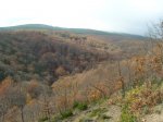 DSCN1878.JPG