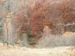 DSCN1880.JPG