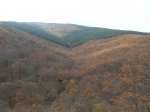 DSCN1885.JPG