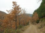 DSCN1888.JPG