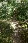 P1080569_redimensionar_redimensionar.JPG