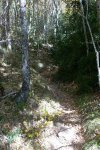 P1080570_redimensionar_redimensionar.JPG