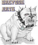 greydog1 - david mann.jpg