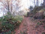 DSCN1226 (Large).JPG