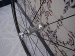 DSC00476.JPG