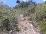 Imagen053AS.jpg