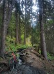 IMG_20180717_163053-01.jpeg