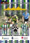 IMGTitanica2018_cartell_v8.jpg