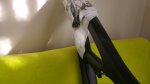 20171208_101937_HDR.jpg