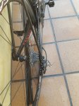 20180707_114125_resized_1.jpg