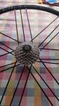 IMG-20180723-WA0016.jpg