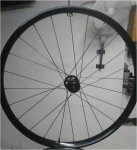 Rueda2.jpg