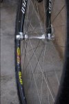 DSC00805.JPG