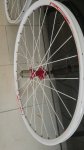 IMG_20180801_115015.jpg