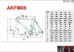 AKFM05-GEOMETRY-2006-11-29.jpg