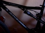 100_3967.jpg