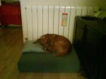 DSC00107.JPG