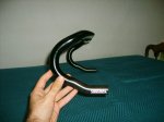 S5000256.JPG