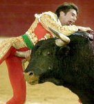 torero.jpg