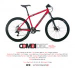 mtb_combi_disc_hydro.jpg