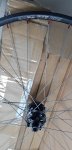 20180727_171956.jpg
