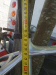 IMG-20180815-WA0001.jpg