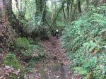 IMG_9352.JPG