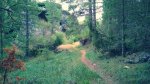 IMG-20180821-WA0032.jpg
