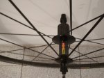 IMG-20180822-WA0003.jpg
