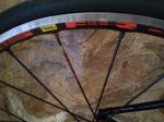 IMG-20180822-WA0005.jpg