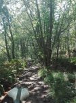 IMG_20180723_142119.jpg
